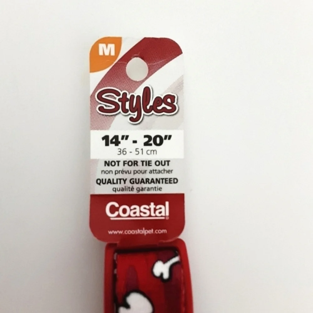 New Dog Collar and Leash Set